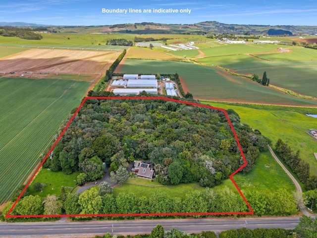 150 Whangarata Road Tuakau_1