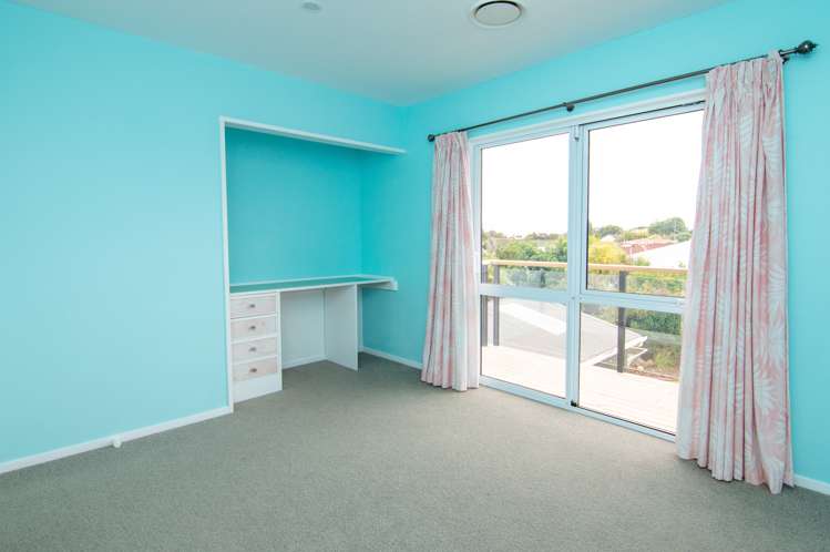 45 Rata Street Roslyn_9