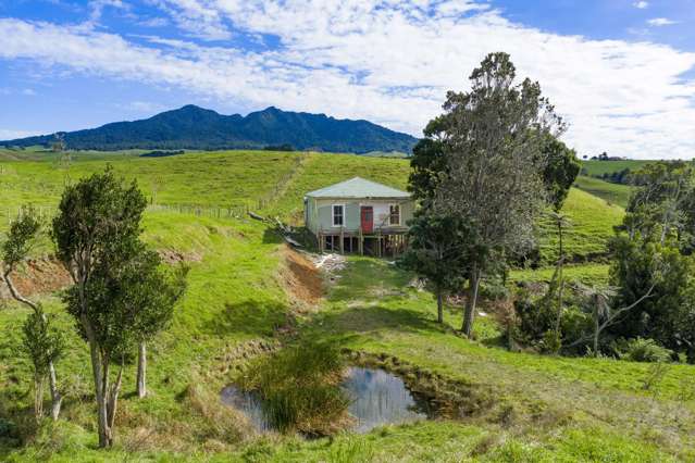 62 Cornes Road Raglan_4