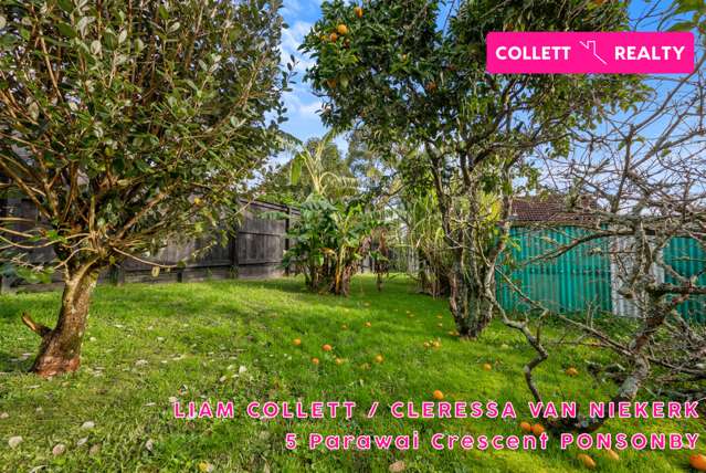 5 Parawai Crescent Ponsonby_2