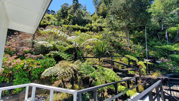 Lots 1&260 Cable Bay Kawau Island_11