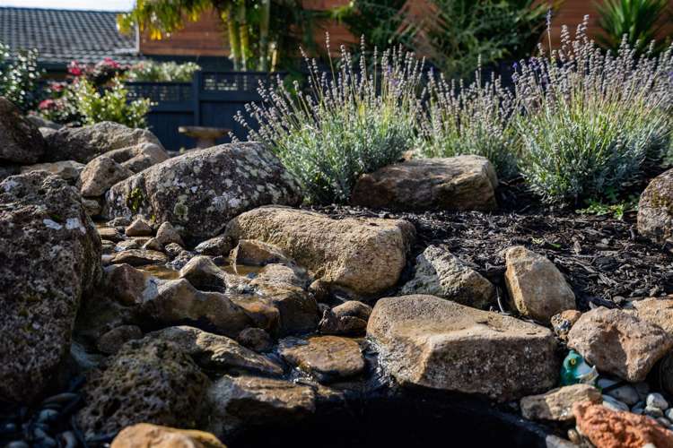 3a Mcainch Place Kamo_30