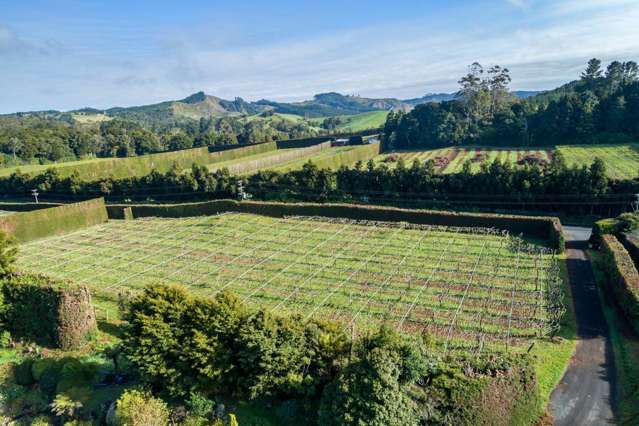 448 Ngunguru Road Glenbervie_3