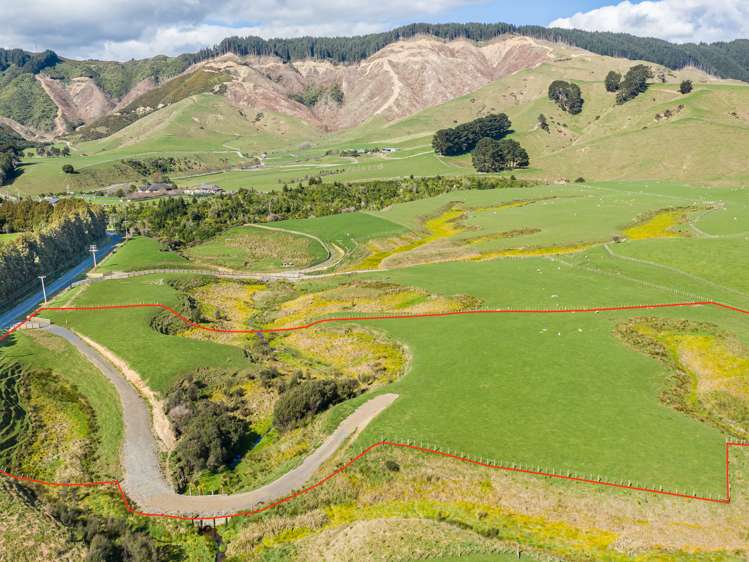 116 Mcdonald Road Levin_3