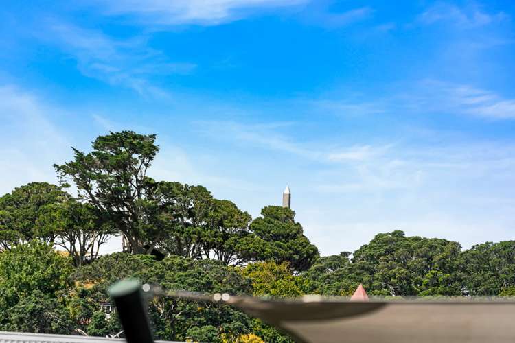 624b Manukau Road Epsom_6