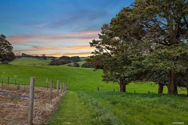 55 Gordon Francis Drive Paerata_4