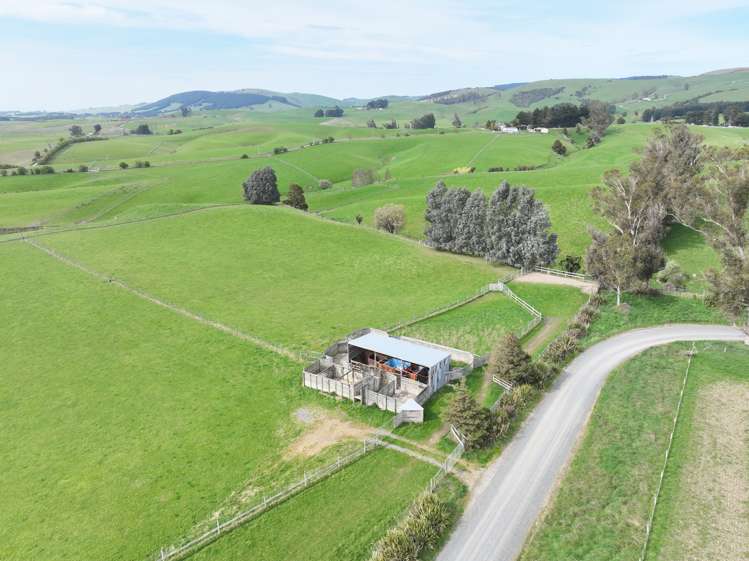 63 Sandford Road Catlins Surrounds_15