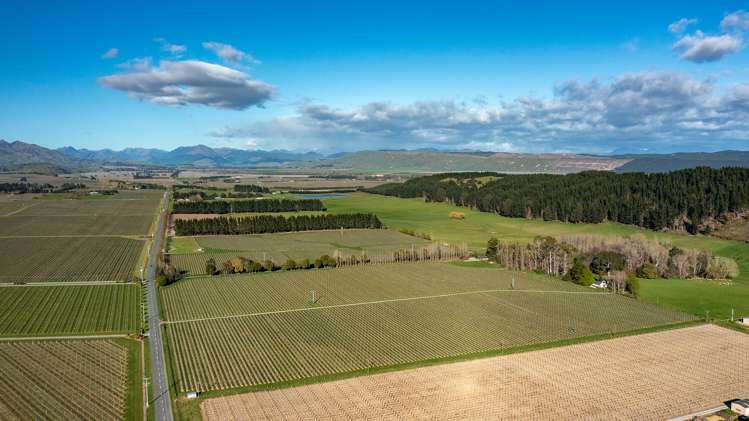 470 Waihopai Valley Road Waihopai Valley_11