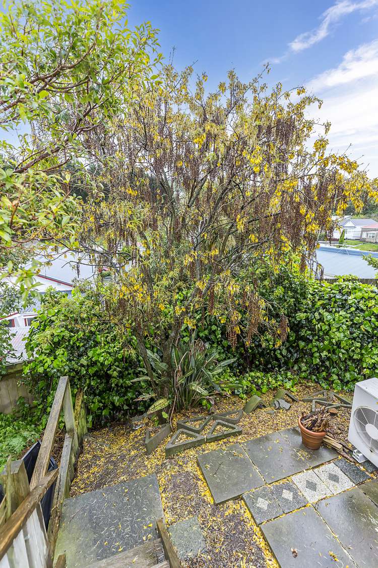 548 Adelaide Road Berhampore_7