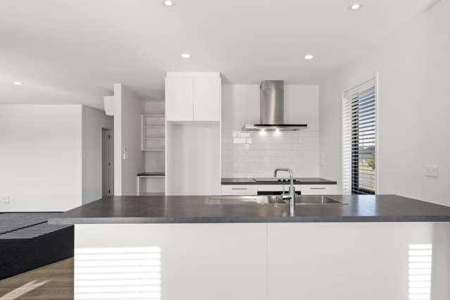 25 Sandhill Drive Rolleston_3