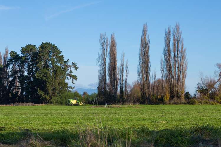 112 Ahikouka Road Greytown_31