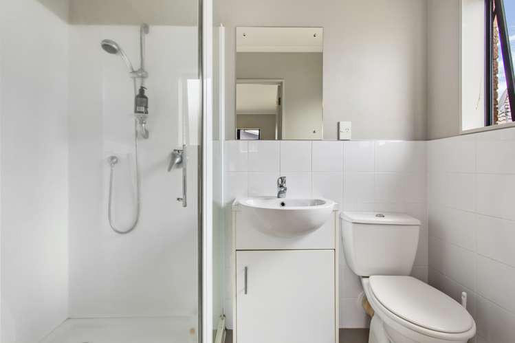 13 Mandival Avenue Flat Bush_6