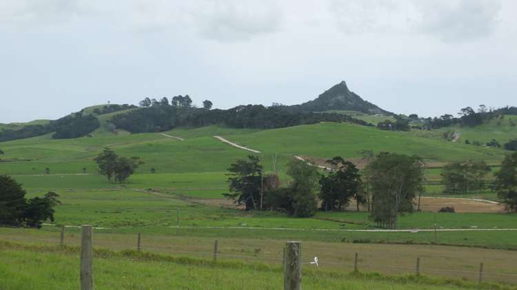 769 Dunn Road Ruawai_5