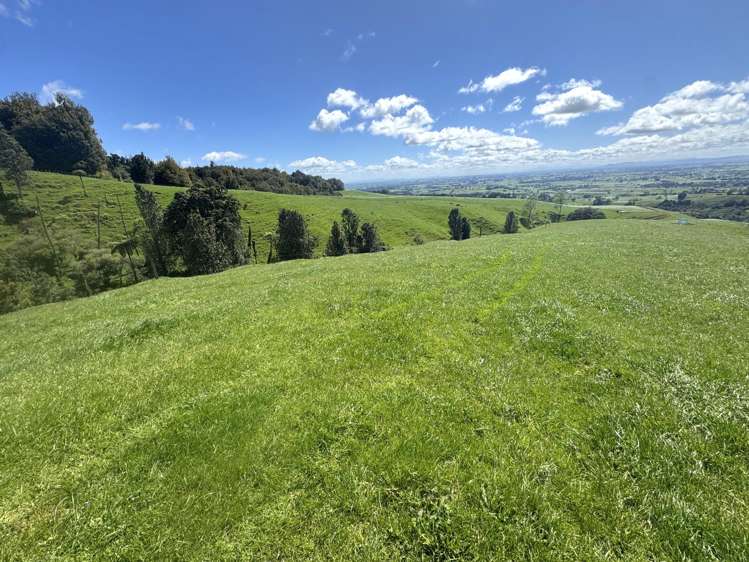 3/585 O'Shea Road Pirongia_8