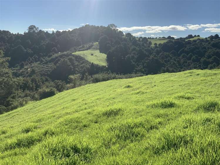 200 Central Road Mareretu_8