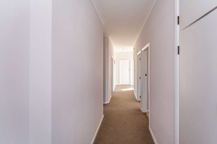 154a Winchester Street Levin_12