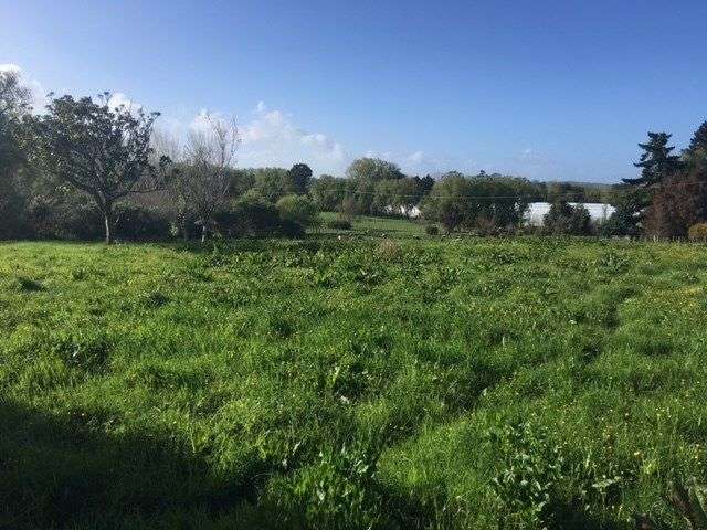 349 Postman Road Dairy Flat_1