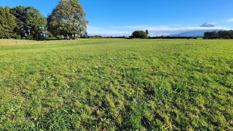 45 and 47 Windsor Road Inglewood_23