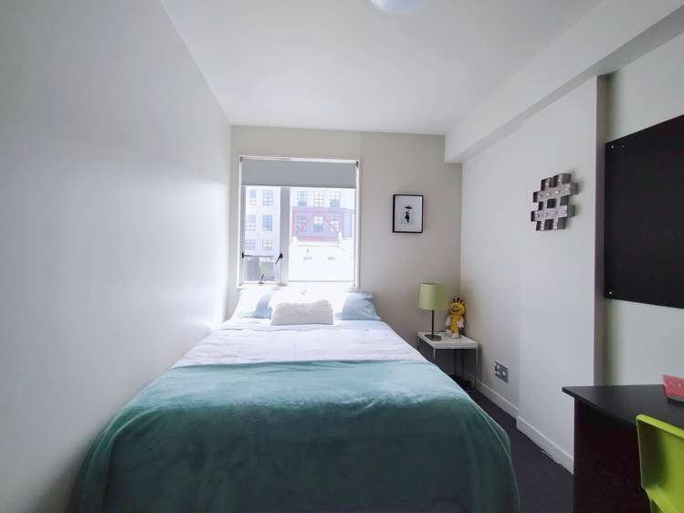 3a/242 Taranaki Street Mount Cook_8