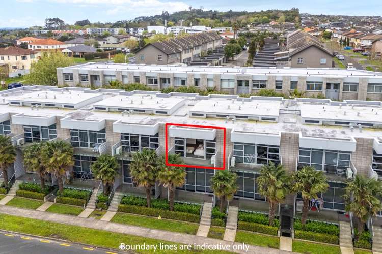 385 Murphys Road Flat Bush_17