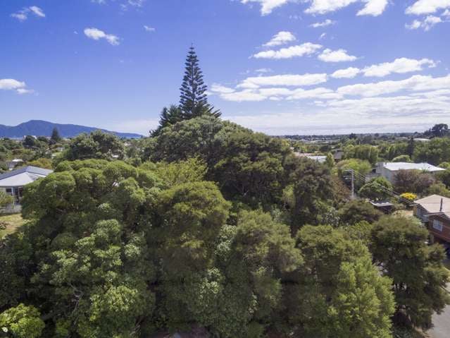 29 Tiromoana Road Raumati South_2