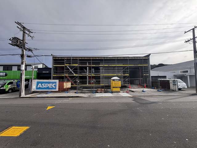 115 Nelson Street Petone_1