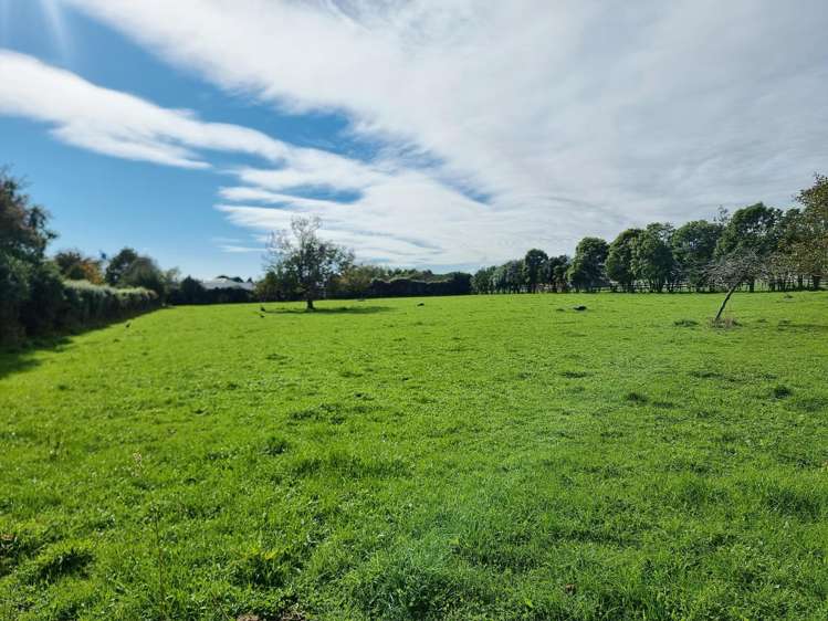 275 Kimberley Road Levin_22