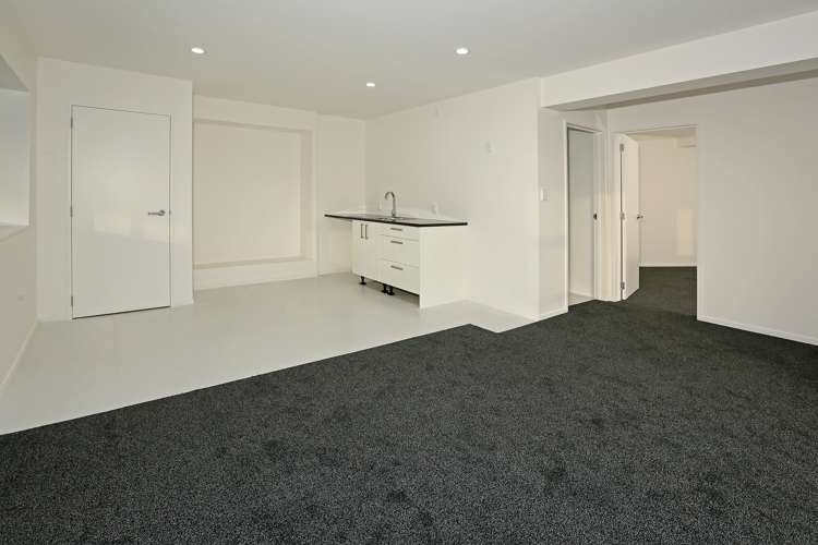 49 Shoreham Street Avondale_18