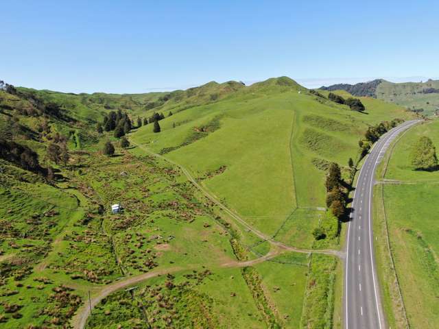 State Highway 3 Hangatiki_1