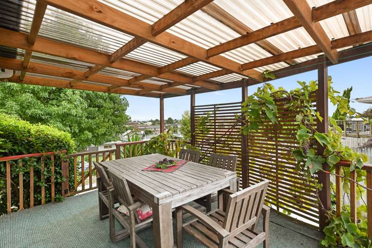 16 Thode Place Nawton_3