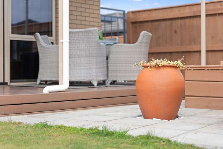 12 Korari Grove Redwoodtown_19