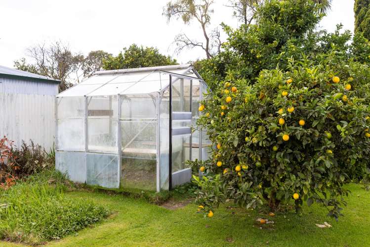 803 Cook Place Raureka_24