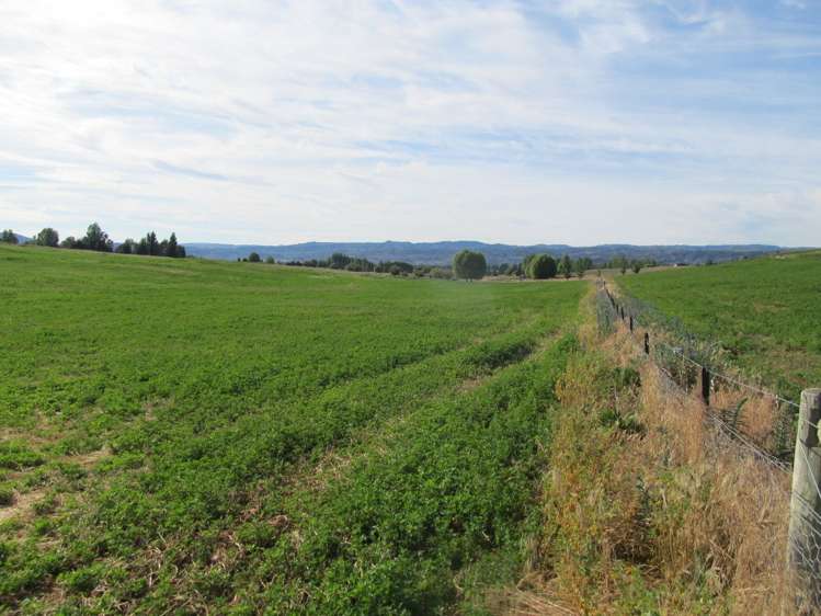 548 Springvale Road Alexandra_6