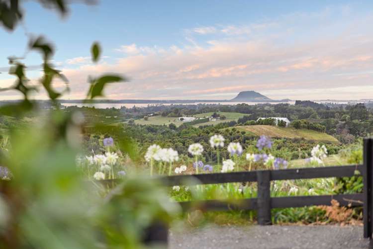 286 Youngson Road Whakamarama_40