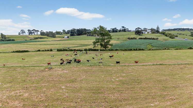 00 Awhitu Road Waiuku_9