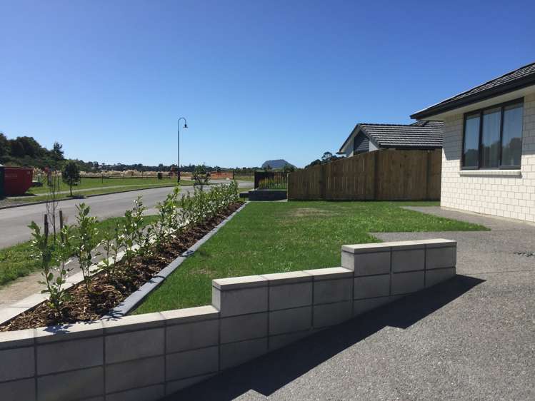 24 Glenpark Crescent Bethlehem_17