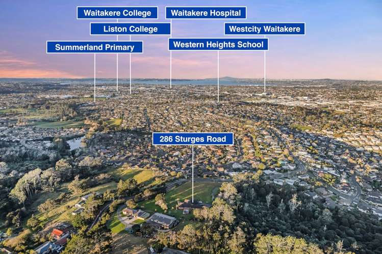 286 Sturges Road Henderson Heights_5