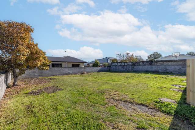 59 Moorhouse Street Morrinsville_3