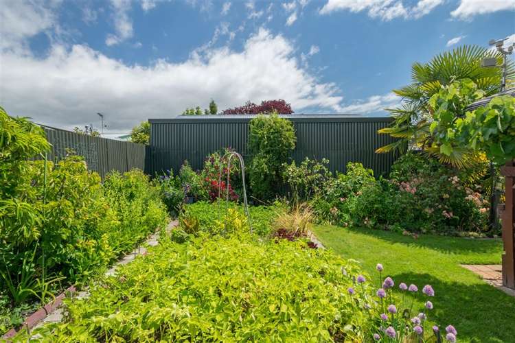 12 Hale Street Blenheim Central_17