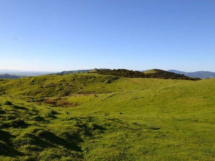 153 Hill Road Te Aroha_13