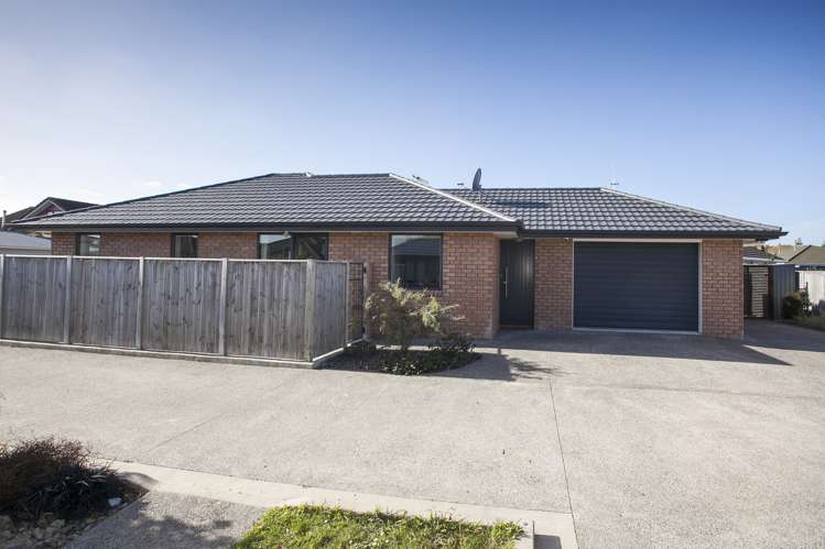 14a Rata Street Roslyn_18