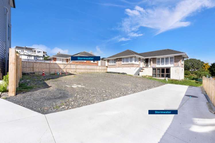 99 Tiverton Road Avondale_2