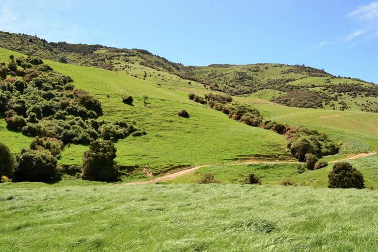 771 Hunt Road Catlins Surrounds_2