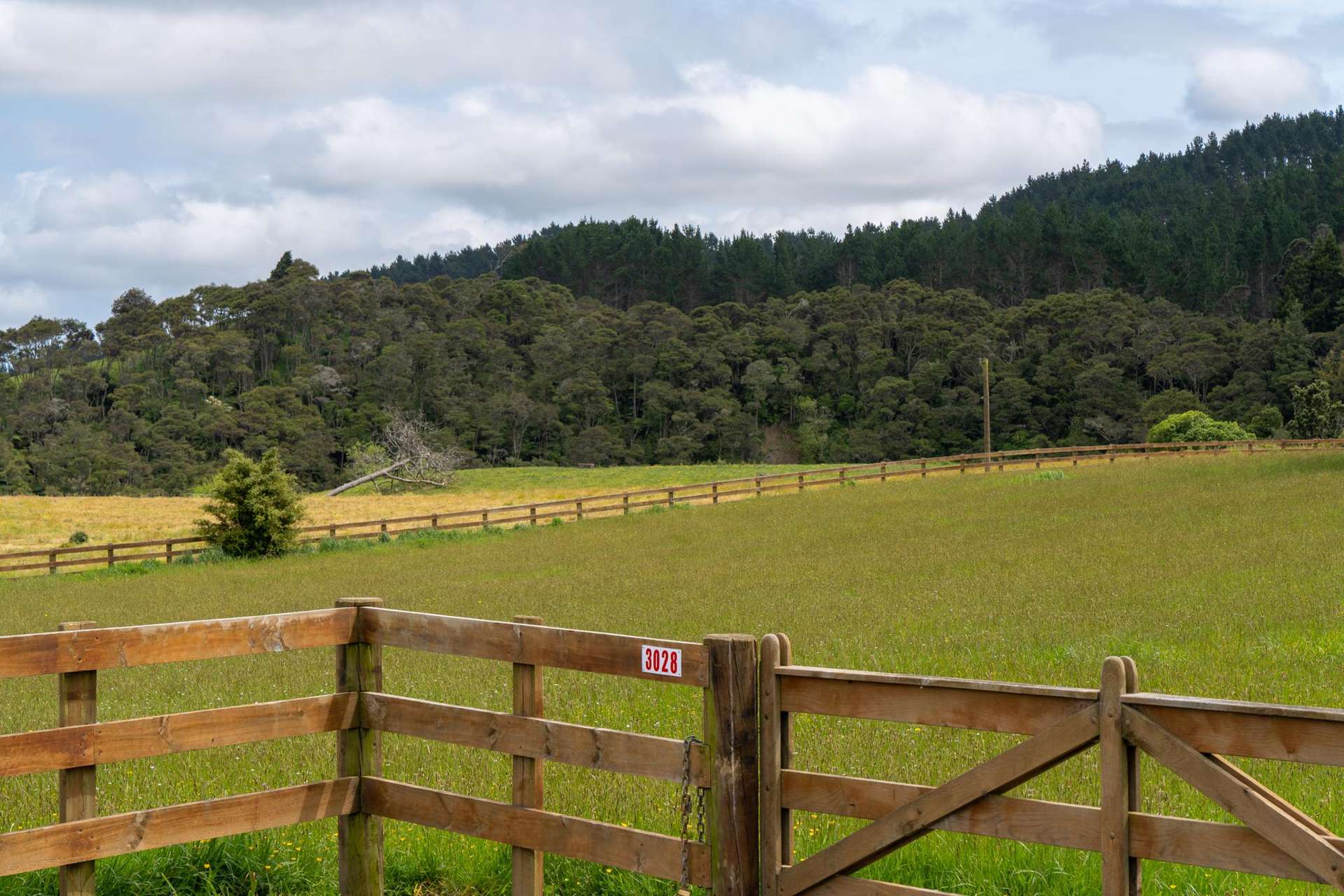 3028 State Highway 23 Raglan_0