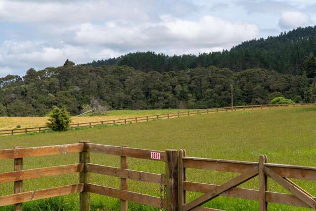 Take a Walk and Discover