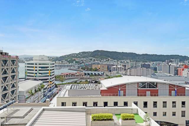 11F/9 Chews Lane Wellington Central_2