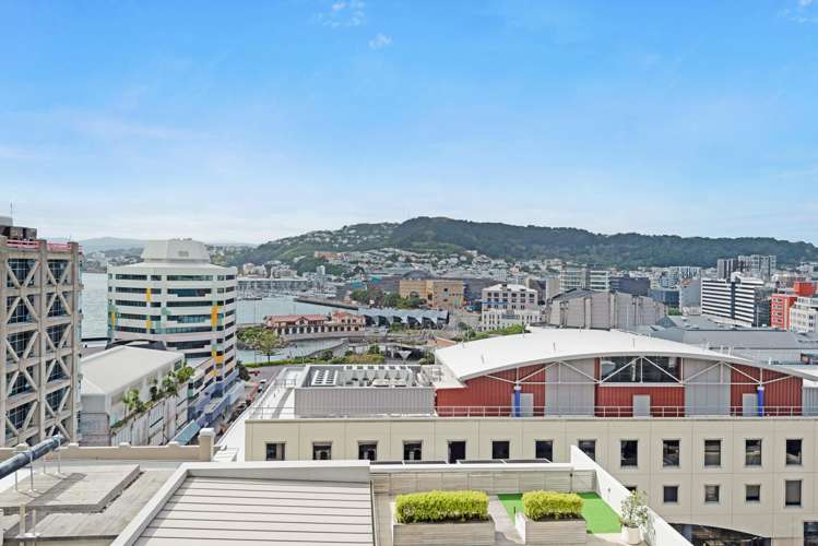 11F/9 Chews Lane Wellington Central_1