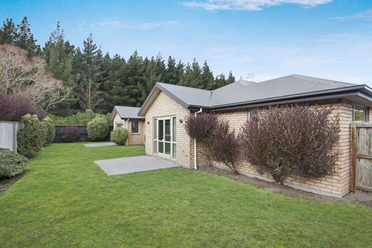 59 Birkdale Drive Shirley_0