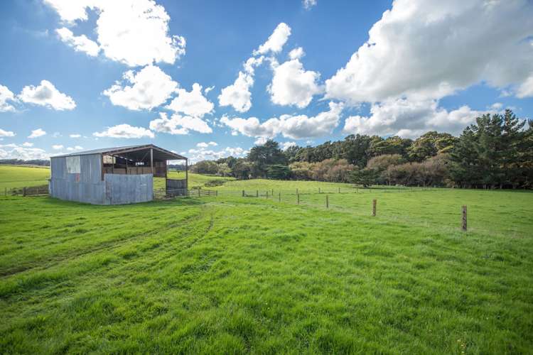 473 Lees Road Feilding_5