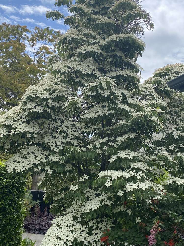 96 Middle Road Allenton_60